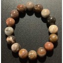 NEW: Petrified Wood Gemstone Bracelet