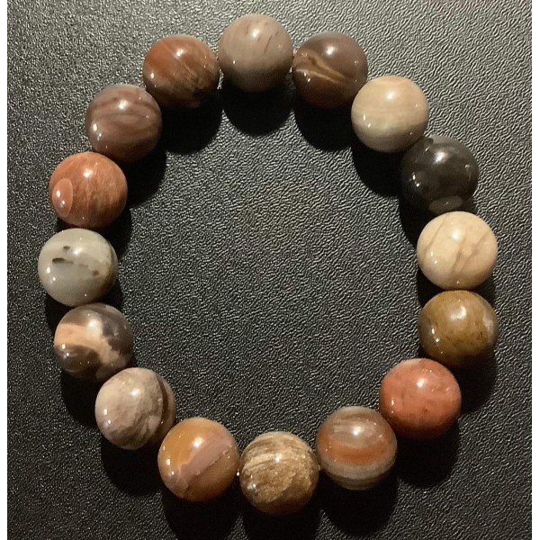 NEW: Petrified Wood Gemstone Bracelet